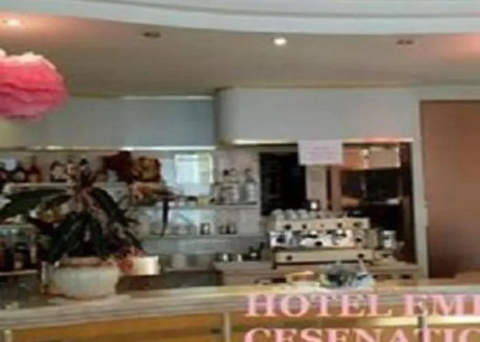 Embassy تْشيزيناتيكو